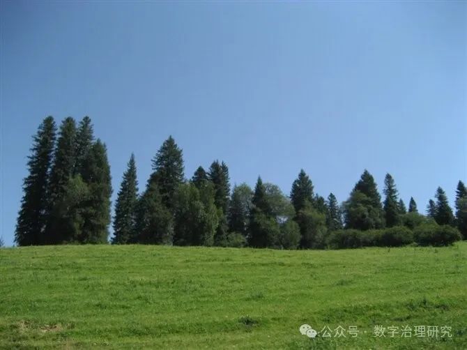 加密资产价值捕获之道