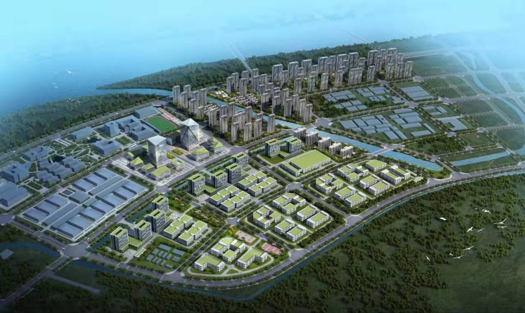 数字资产如何促进社区经济的发展:以地方特色打造数字经济_数字社区投资_加快数字社区