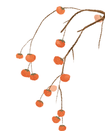 小米创新案例_小米创新理念_小米14的创新设计如何引领行业潮流?