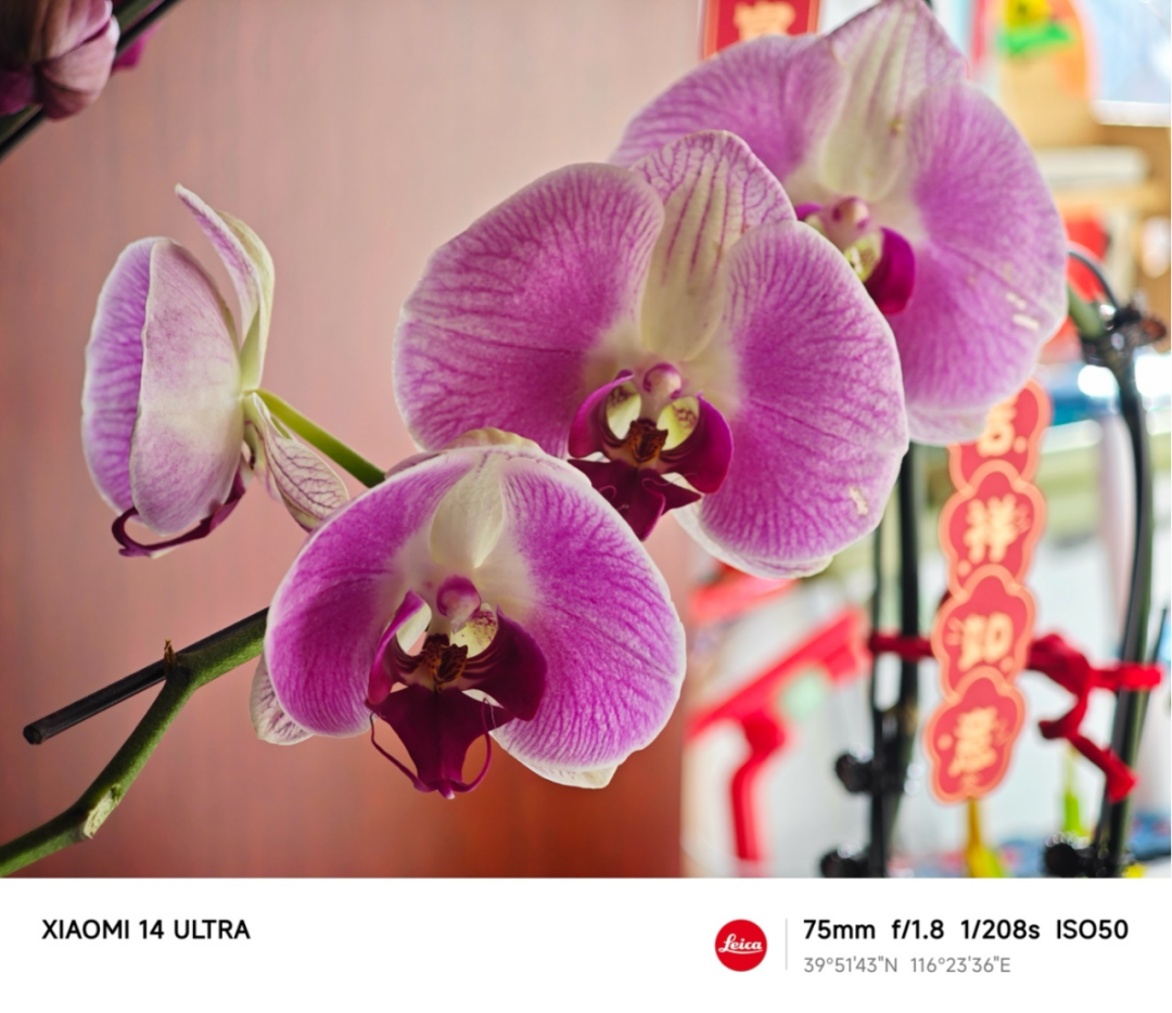 小米14的创新设计如何引领行业潮流？_小米创新之路_小米创新案例