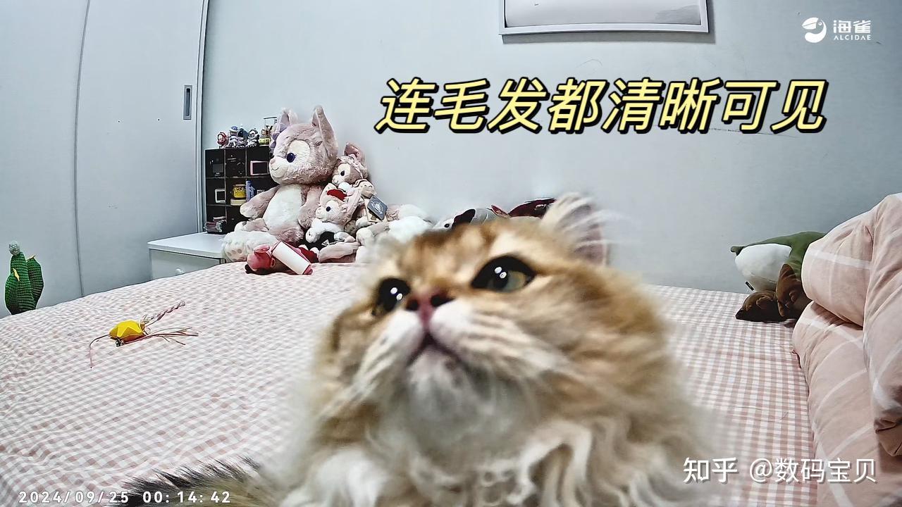 家用监控摄像头使用方法_如何使用TP-Link摄像头进行家庭视频监控？_家庭用视频监控摄像头如何使用