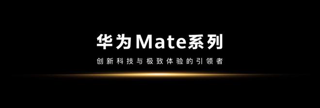 华为mate系列全球销量_全球各品牌手机市场份额_Mate系列手机在全球市场的表现