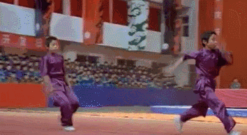 李连杰谈传统武术_李连杰与中国传统武术的关系_李连杰谈中国武术