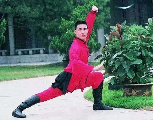 李连杰赵长军原文庆：从武坛佼佼者到荧幕与教育领域的武术传承者