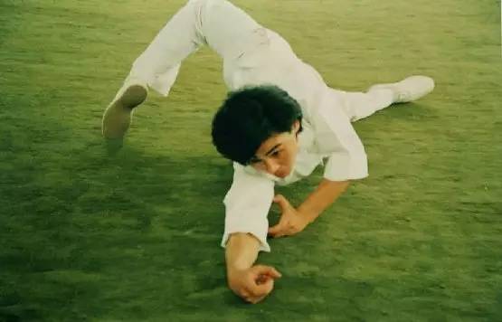 李连杰与中国传统武术的关系_武术大师李连杰_武术家李连杰