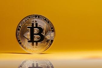 比特币市场波动追踪