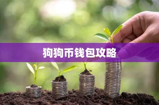 狗狗币钱包攻略