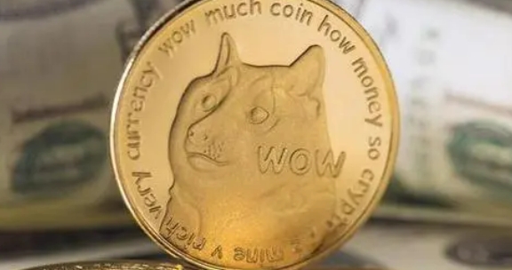 狗狗币的风险_狗狗币的支付安全性：用户如何保护资金安全_狗狗币作为支付