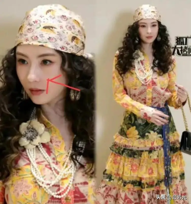 柏芝70张未处理_柏芝被虐片图片_张柏芝的艺术追求与未来规划