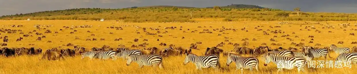 从多次失败到成功：马云的坚持_马云失败的_马云失败后成功的事例