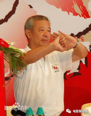 吴京的电影生涯与成就_吴京电影奖项_吴京的职业生涯