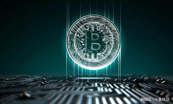 数字货币：基于区块链技术、由节点共同维护管理且有独特工作原理的新兴货币