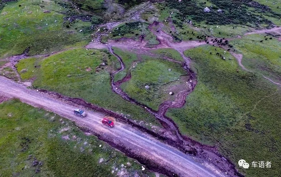 历史经典车型_探索经典汽车历史品牌的意义_探索十大经典汽车品牌的历史