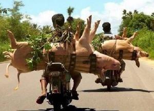 播放幽默电影_幽默影片_元彪的幽默感在电影中的表现