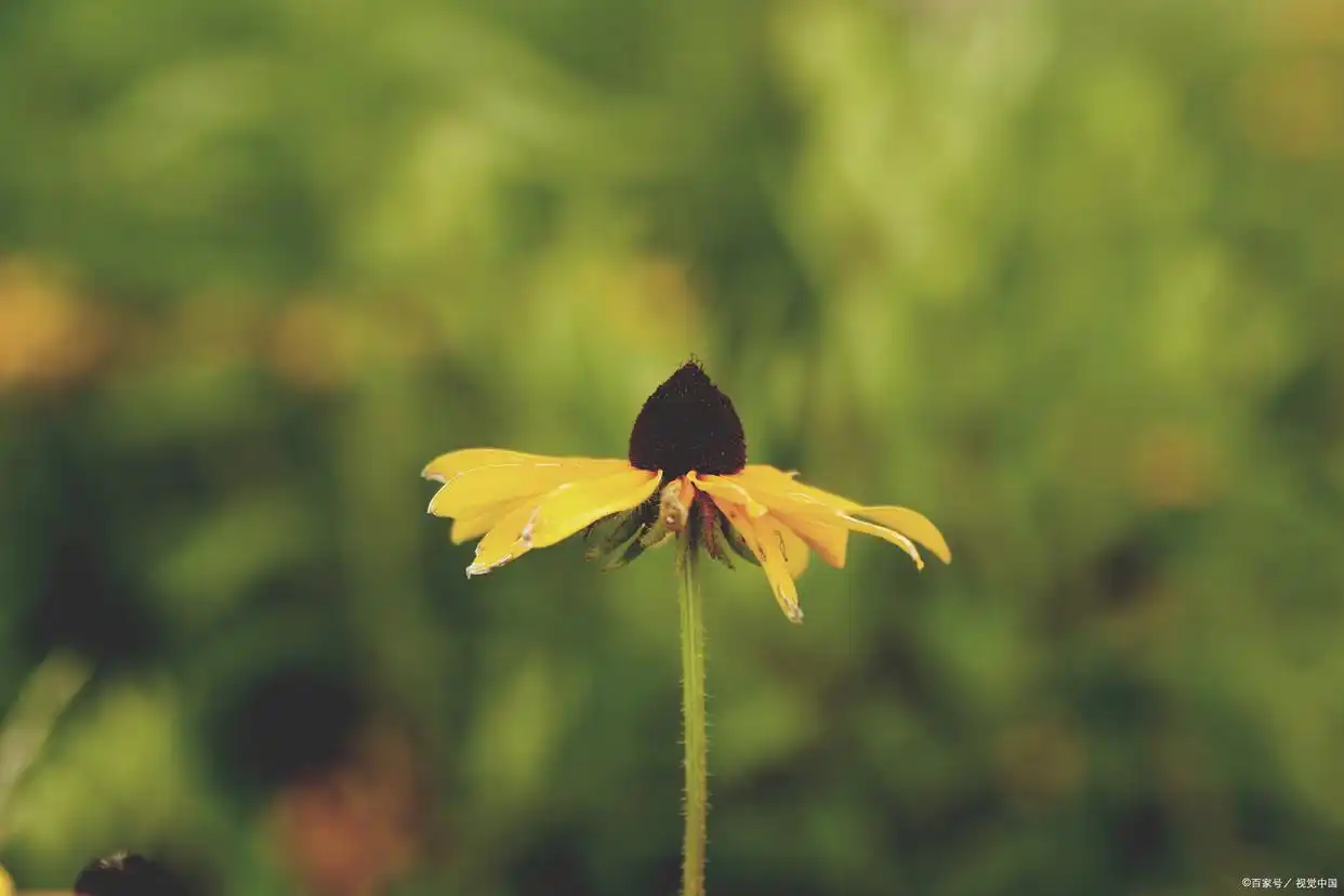 以太坊钱包下载安卓普通人应对生活压力挑战的方法：心态调整与生活方式优化
