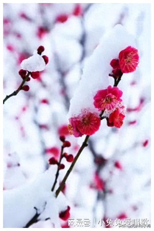 数字货币的匿名性低吗_匿名数字货币有哪些_数字货币的匿名性如何促进用户安全