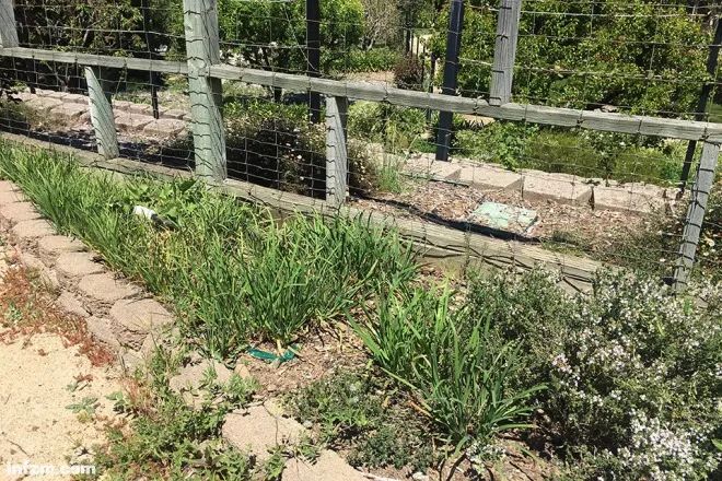 币钱包怎么使用交易_币信钱包APP的社交功能 | 与好友分享投资经验的方式_币包钱包