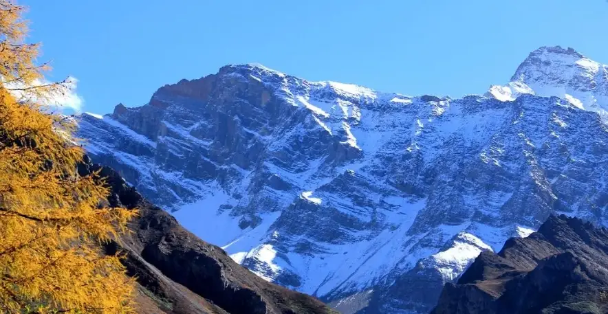 欧意交易所的资金安全保障系统_欧意交易所的资金安全保障系统_欧意交易所的资金安全保障系统