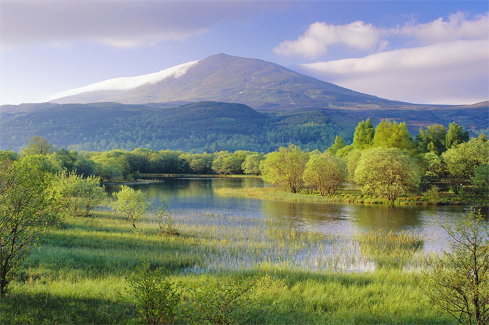姜子牙与道家思想：中国古代历史中姜太公对道家哲学的影响与贡献