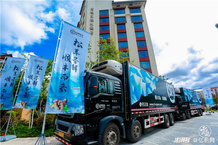 顺丰二季度扭亏转正：价格战与监管高压下的自我修复与市场关注