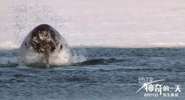 李易峰演技炸裂_李易峰在新剧中挑战反派角色,演技受赞_李易峰演技长进