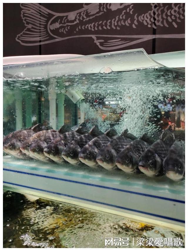 胖东来客户满意度数据_胖东来如何通过服务提升顾客满意度？_胖东来如何提高消费者忠诚度