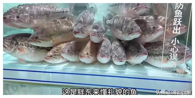 胖东来如何通过服务提升顾客满意度？_胖东来客户满意度数据_胖东来如何提高消费者忠诚度