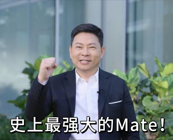 华为隐私保护八大原则_华为Mate系列的安全性与隐私保护_华为隐私保护基本原则