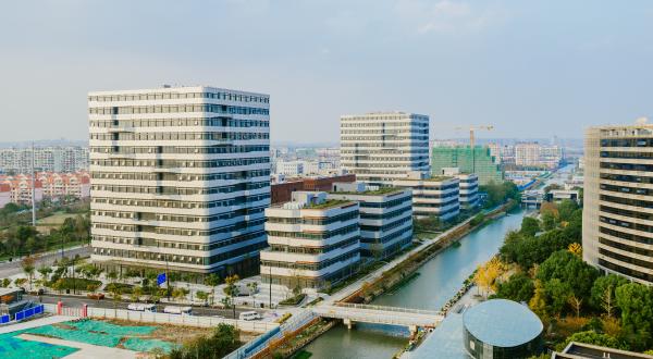 阳春三月上海市北区块链生态谷樱花盛开，打造区块链生态产业链