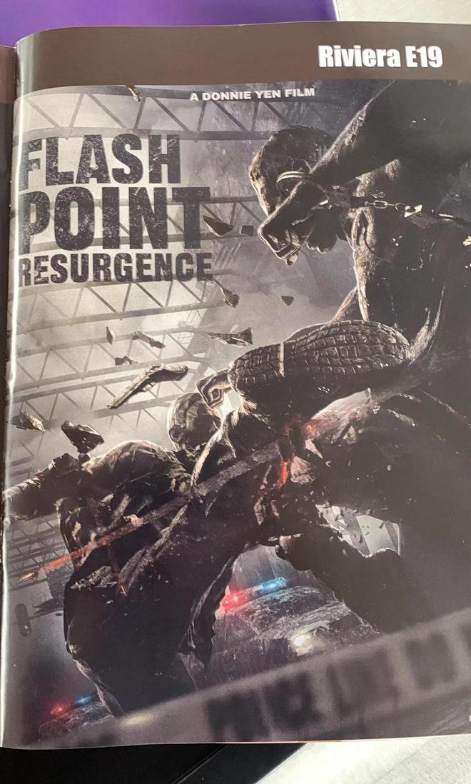 甄子丹导演合作成功了吗_甄子丹导演合作成功视频_甄子丹与导演的成功合作