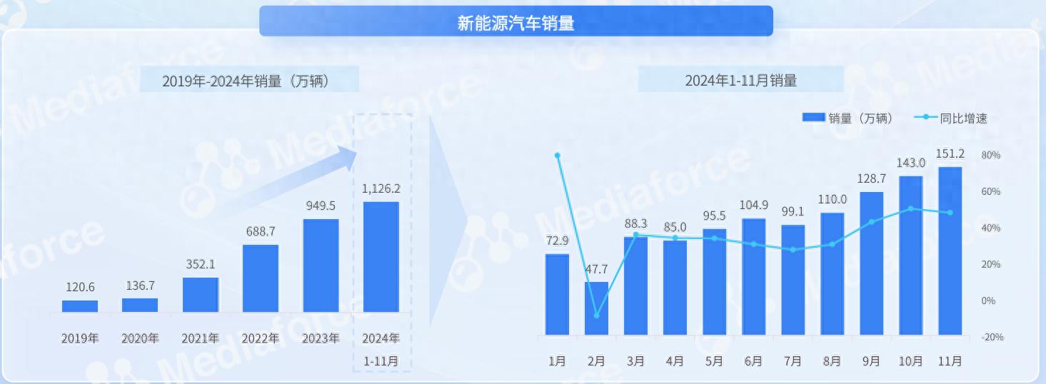 2024年新能源汽车价格战：车企生存挑战与消费者情绪分析