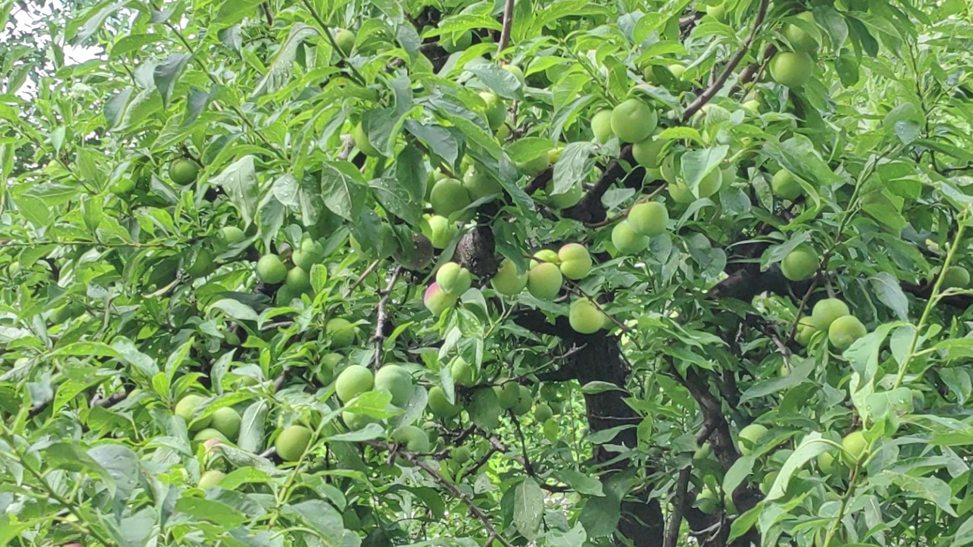 鬼谷子职场智慧_鬼谷子的智慧在商业中的运用_鬼谷子的智慧谋略全书