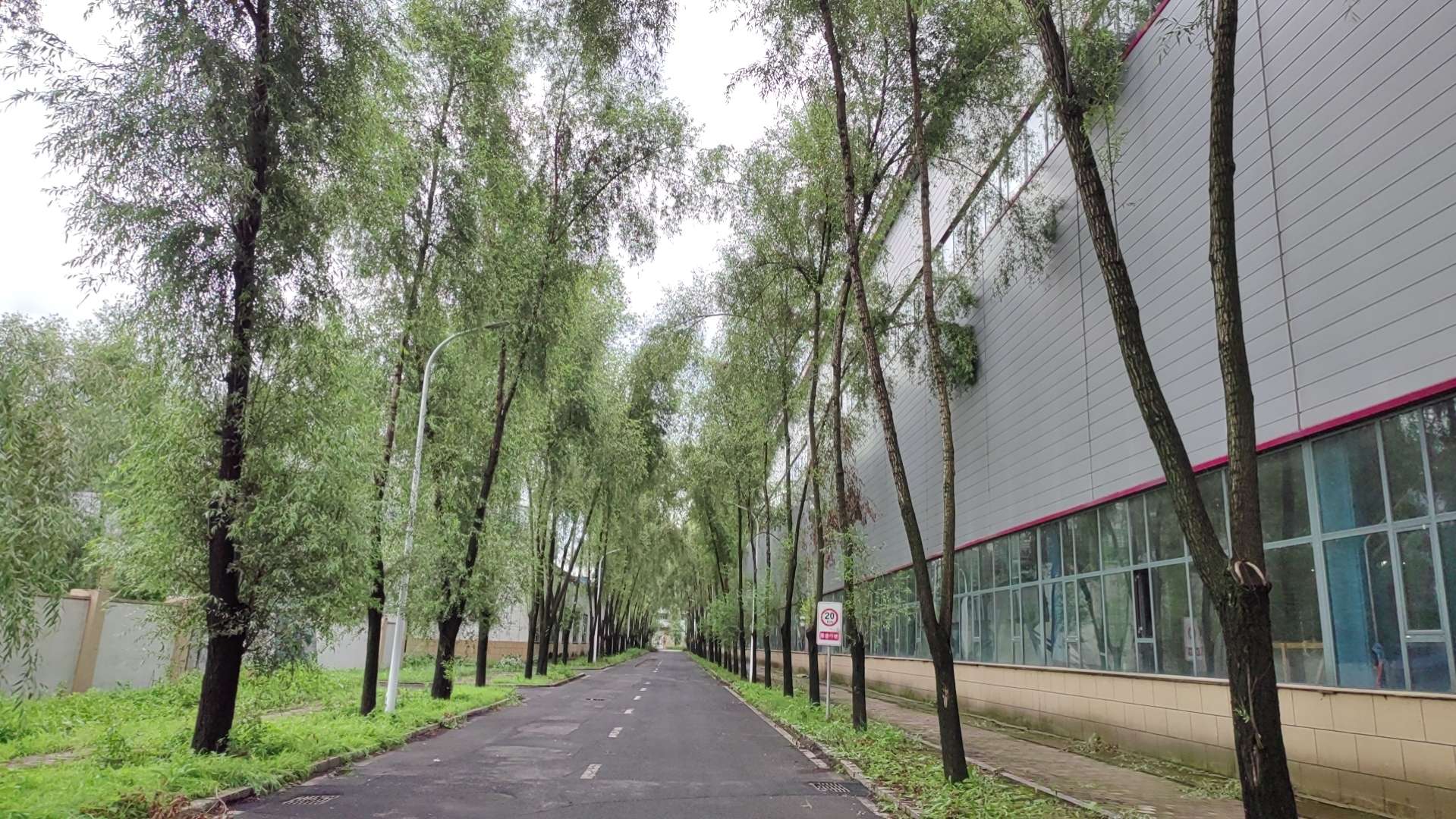 鬼谷子的智慧谋略全书_鬼谷子职场智慧_鬼谷子的智慧在商业中的运用