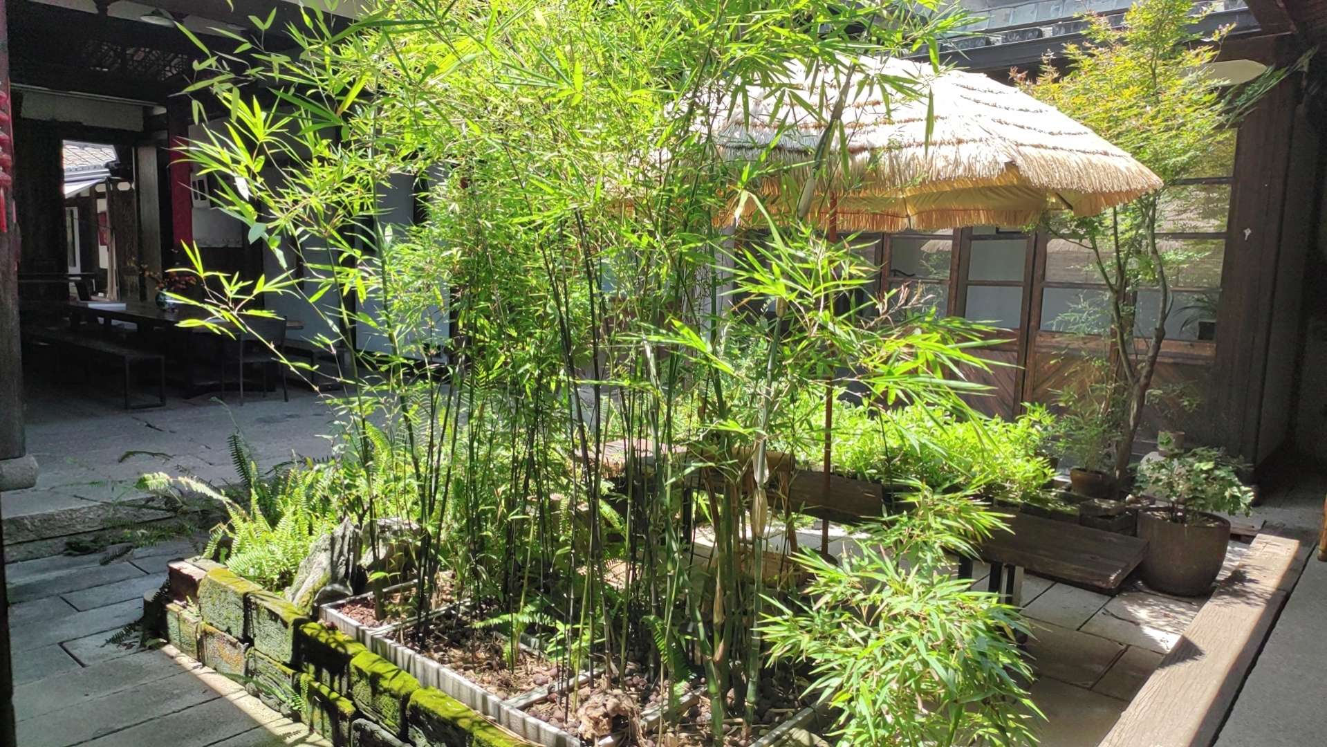 鬼谷子的智慧谋略全书_鬼谷子的智慧在商业中的运用_鬼谷子职场智慧