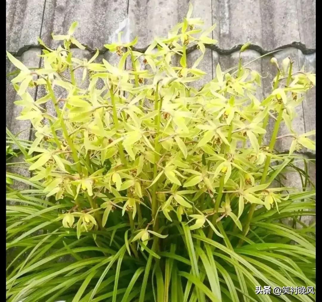 传统家居改造智能家居_颠覆传统家居：智能产品让生活更流畅_传统家居产品遇到智能技术