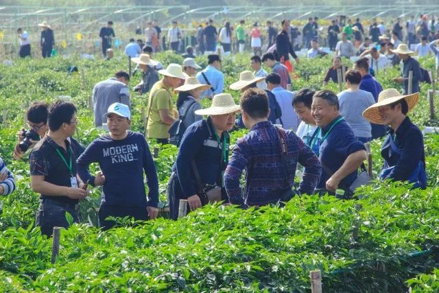 无人展示形象机利用品牌有哪些_如何利用无人机展示品牌形象？_无人机展示柜