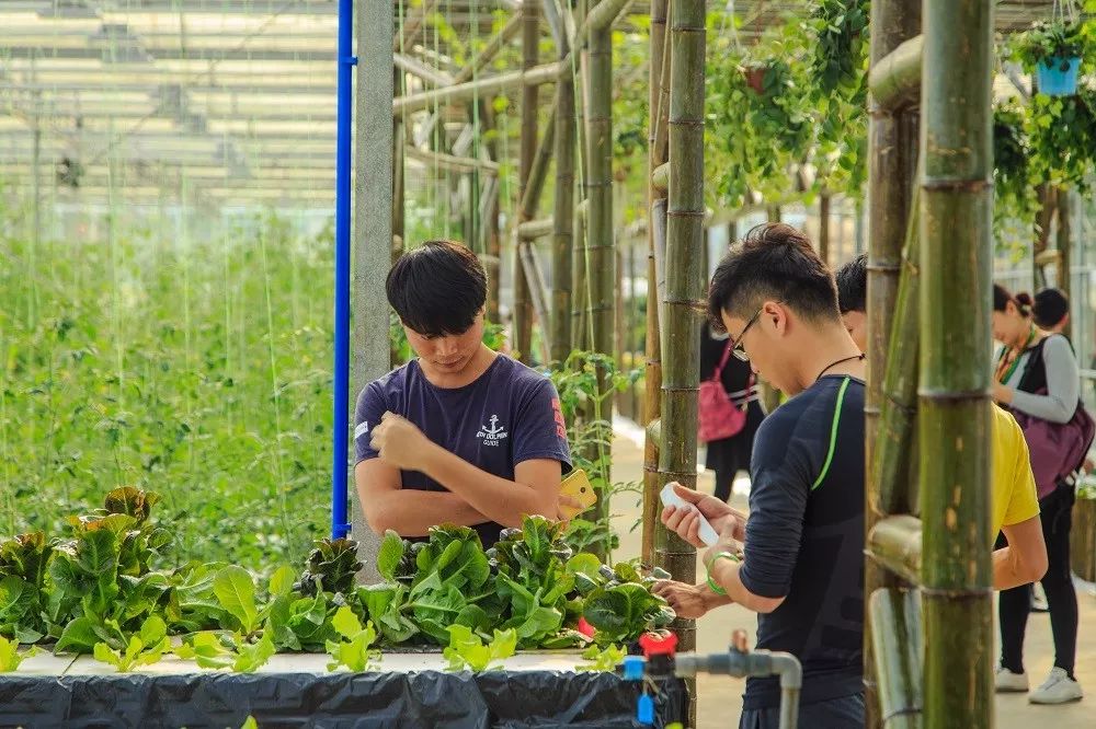 如何利用无人机展示品牌形象？_无人展示形象机利用品牌有哪些_无人机展示柜