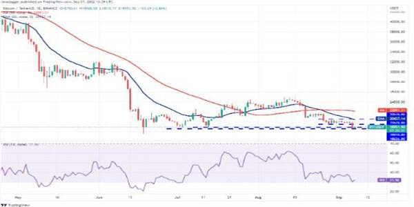 比特美元是什么意思_比特币(美元)_比特币（BTC）告别 100,000 美元，柴犬（SHIB）接近最后支撑位，XRP 强于其他所有货币