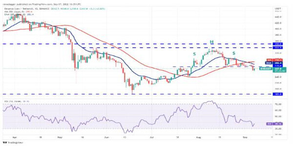 比特币（BTC）告别 100,000 美元，柴犬（SHIB）接近最后支撑位，XRP 强于其他所有货币_比特币(美元)_比特美元是什么意思