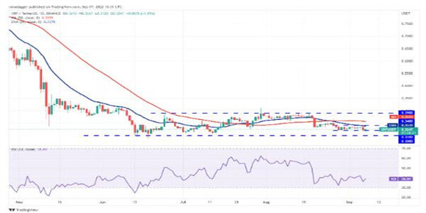 比特币（BTC）告别 100,000 美元，柴犬（SHIB）接近最后支撑位，XRP 强于其他所有货币_比特币(美元)_比特美元是什么意思