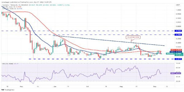 比特币(美元)_比特美元是什么意思_比特币（BTC）告别 100,000 美元，柴犬（SHIB）接近最后支撑位，XRP 强于其他所有货币