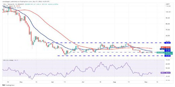 比特美元是什么意思_比特币(美元)_比特币（BTC）告别 100,000 美元，柴犬（SHIB）接近最后支撑位，XRP 强于其他所有货币