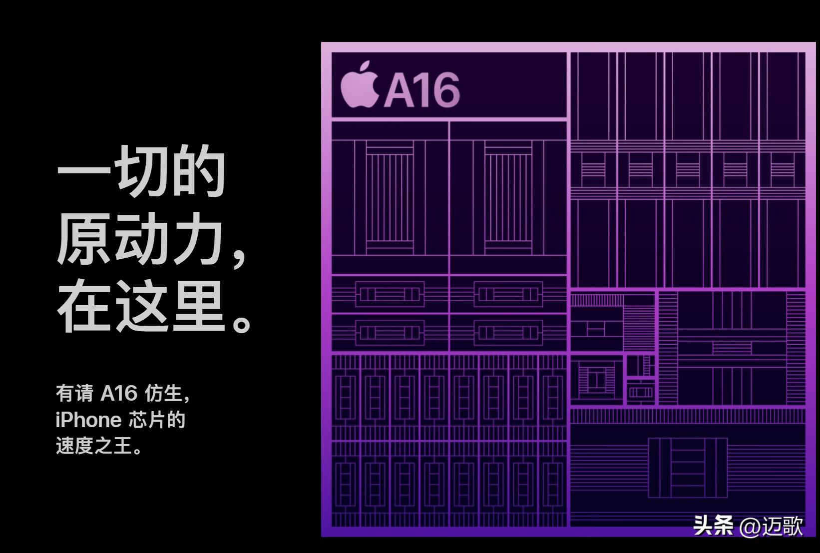 苹果手机拍照能力排行_拍照效果最好的iphone_iPhone 14的拍照性能到底有多强？