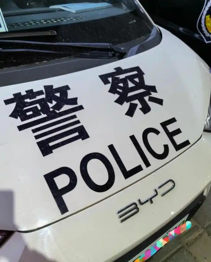 比亚迪海鸥新能源汽车_比亚迪海鸥的性价比究竟如何?_海鸥比亚迪