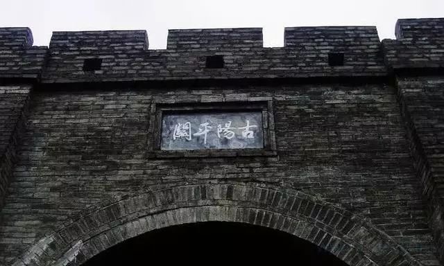 名将三国曹操亲笔信_曹操的名将与谋士们_曹操的谋将