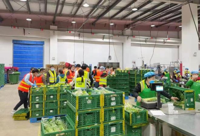 王卫如何实现业务的持续增长_王卫如何实现业务的持续增长_王卫如何实现业务的持续增长