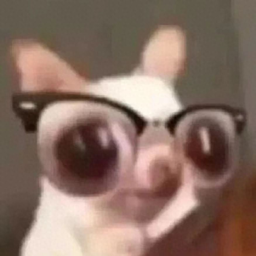 小米14与IQOO 12系列竞争激烈，骁龙8 Gen3与自研芯片引领手机市场新潮流