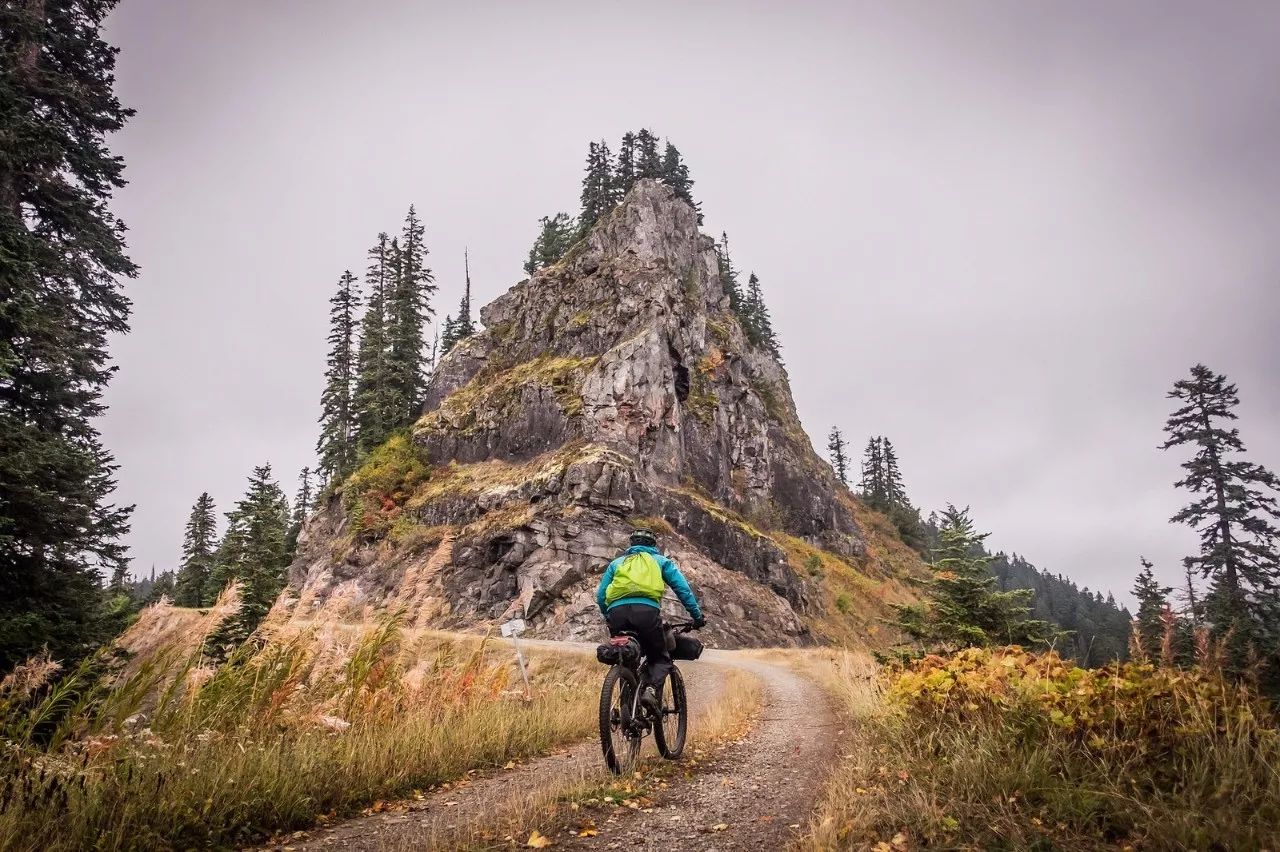 什么叫货币数字_货币数字购买平台_快速、方便：数字货币为何受欢迎