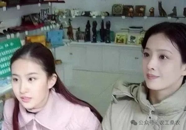 刘亦菲变身_刘亦菲梦华_刘亦菲：坚持与梦想的化身