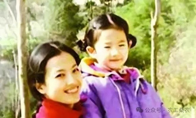 刘亦菲梦华_刘亦菲：坚持与梦想的化身_刘亦菲变身